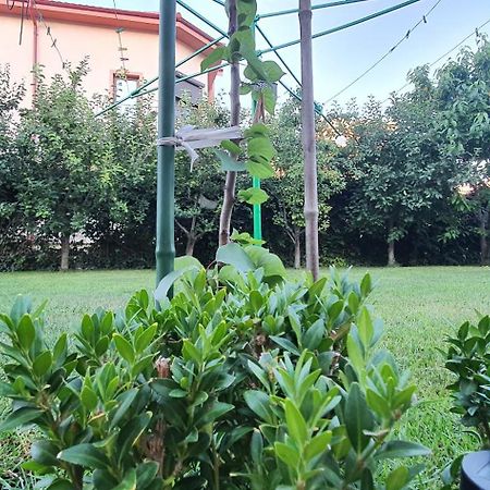 Vila Vasile Năvodari Exteriér fotografie