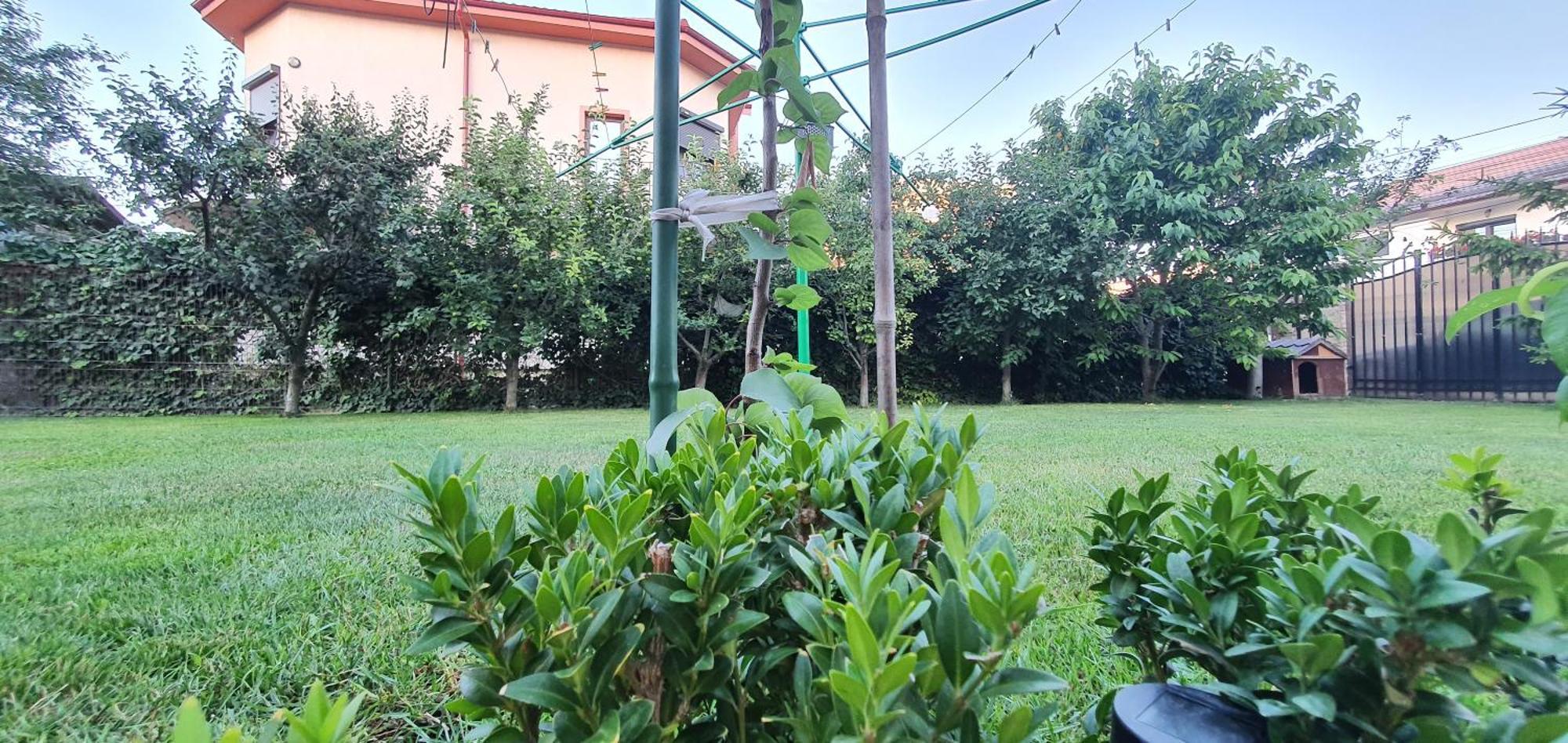 Vila Vasile Năvodari Exteriér fotografie