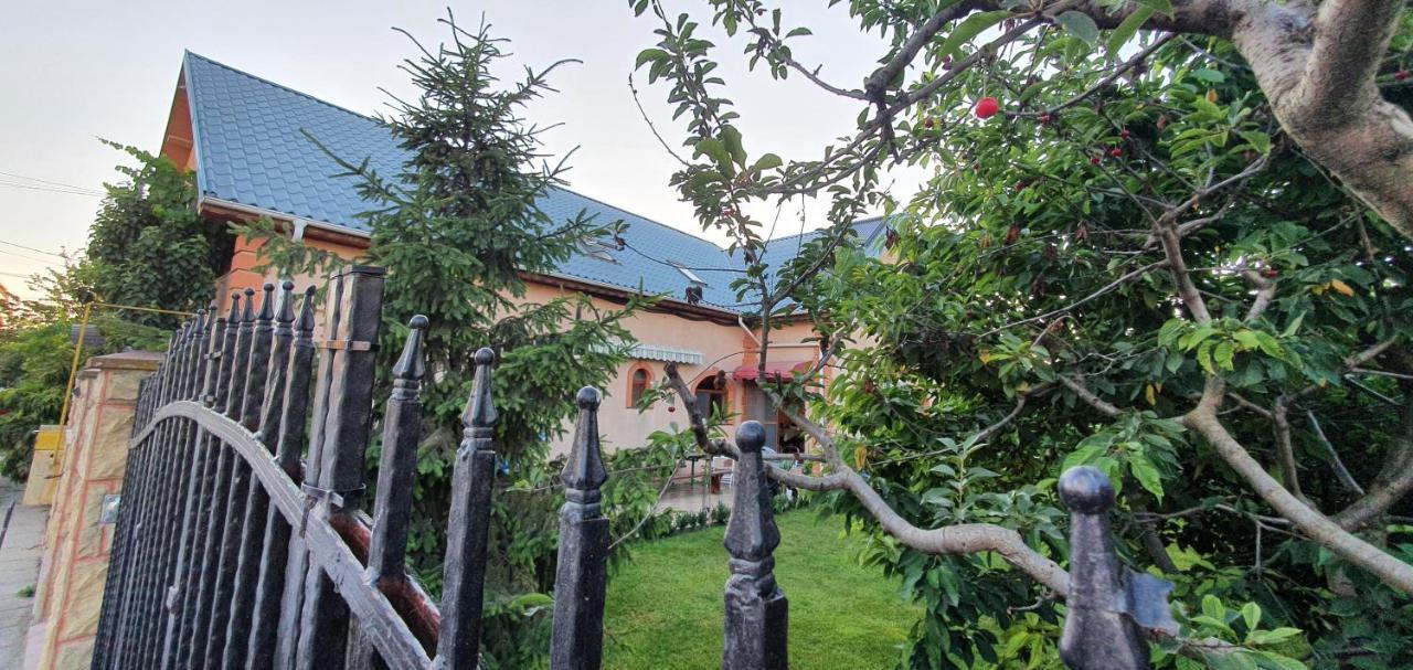 Vila Vasile Năvodari Exteriér fotografie